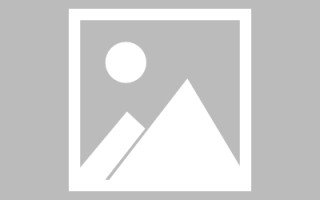 姜堰网页设计师周记（网页设计周记26篇300字）