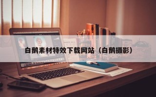 姜堰白鹅素材特效下载网站（白鹅摄影）